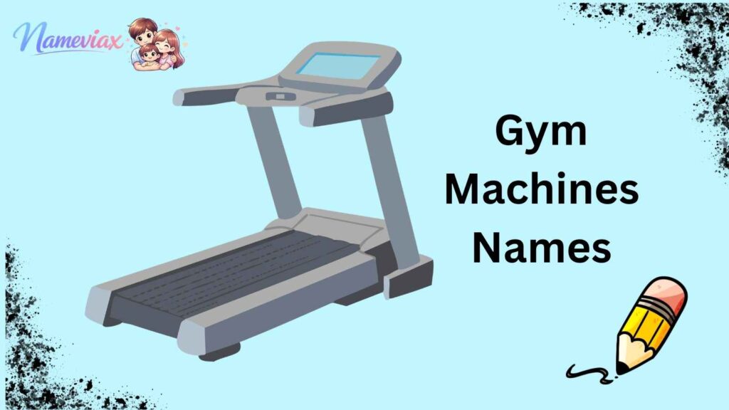 Gym Machines Names