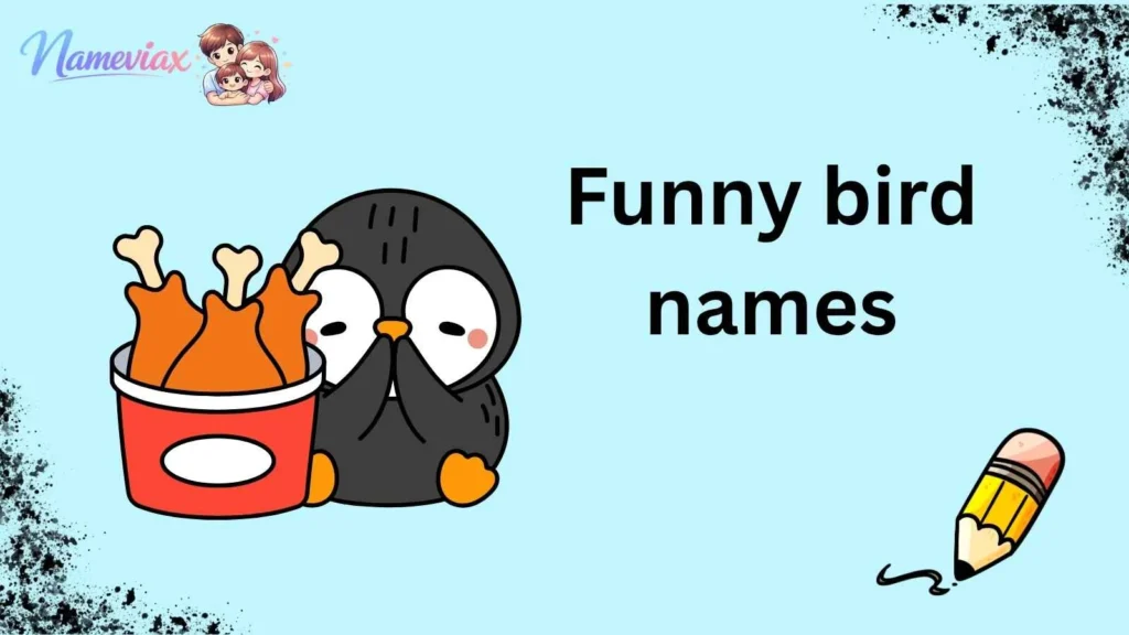 Funny bird names