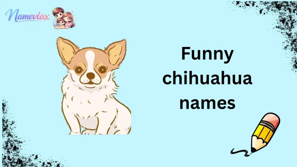 Funny chihuahua names
