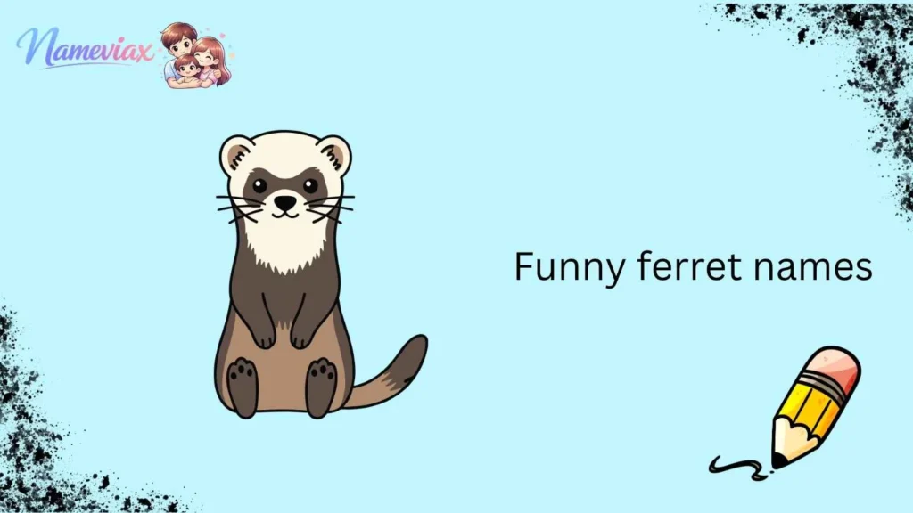 funny ferret names